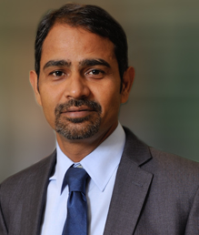 Rakesh Singh_old - Chief Executive Officer